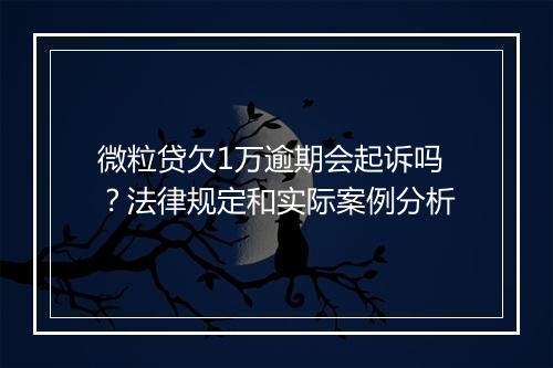 微粒贷欠1万逾期会起诉吗？法律规定和实际案例分析