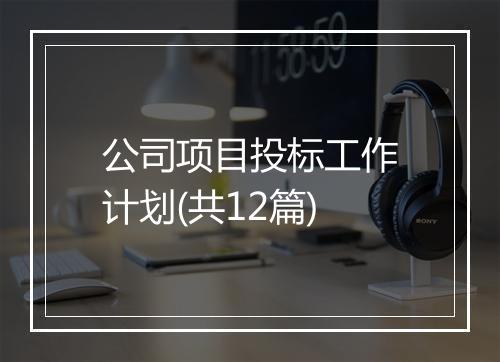 公司项目投标工作计划(共12篇)