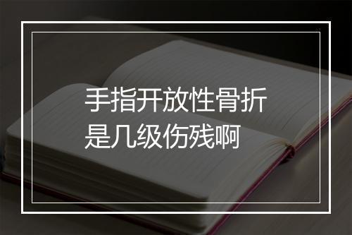 手指开放性骨折是几级伤残啊