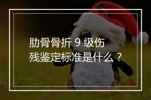 肋骨骨折 9 级伤残鉴定标准是什么？