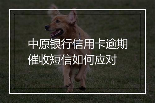 中原银行信用卡逾期催收短信如何应对