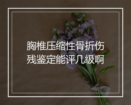 胸椎压缩性骨折伤残鉴定能评几级啊