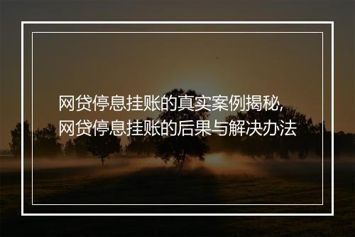 网贷停息挂账的真实案例揭秘,网贷停息挂账的后果与解决办法