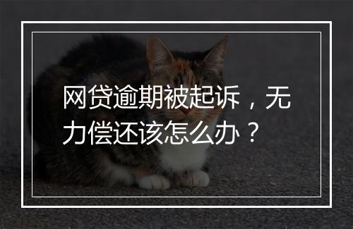 网贷逾期被起诉，无力偿还该怎么办？