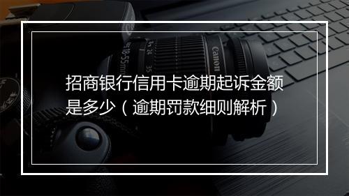 招商银行信用卡逾期起诉金额是多少（逾期罚款细则解析）