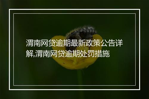 渭南网贷逾期最新政策公告详解,渭南网贷逾期处罚措施