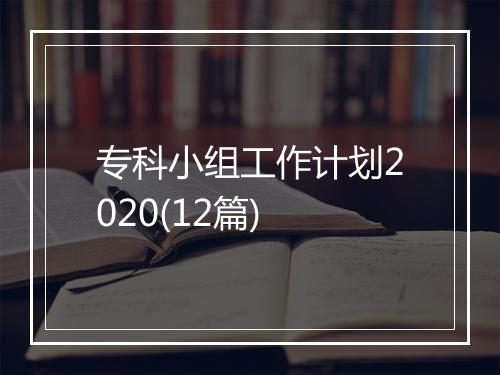 专科小组工作计划2020(12篇)
