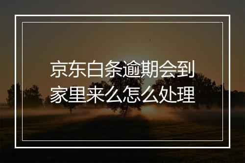 京东白条逾期会到家里来么怎么处理