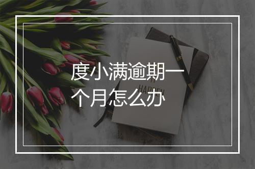 度小满逾期一个月怎么办