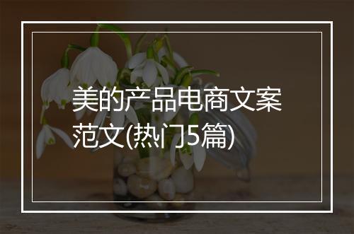 美的产品电商文案范文(热门5篇)