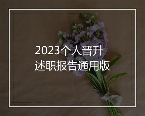 2023个人晋升述职报告通用版