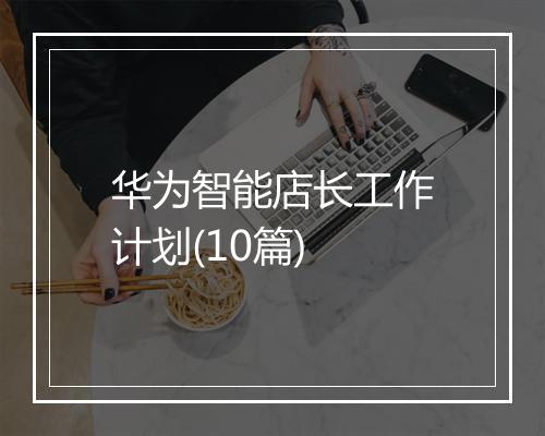 华为智能店长工作计划(10篇)