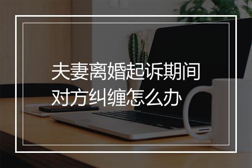 夫妻离婚起诉期间对方纠缠怎么办