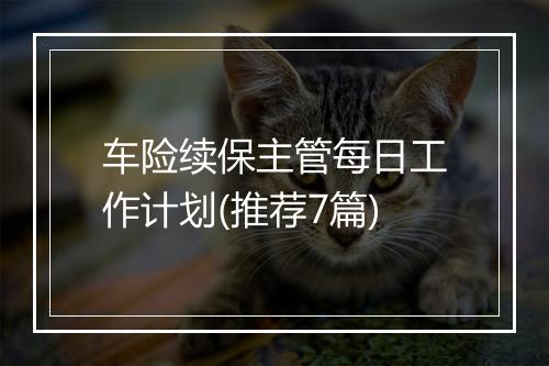 车险续保主管每日工作计划(推荐7篇)