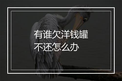 有谁欠洋钱罐不还怎么办