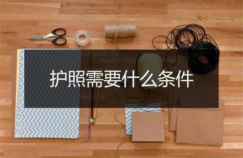 护照需要什么条件