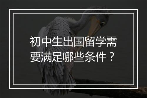 初中生出国留学需要满足哪些条件？