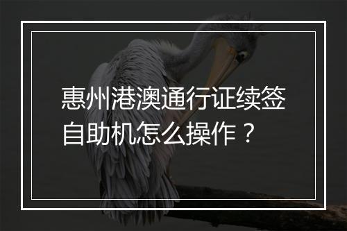 惠州港澳通行证续签自助机怎么操作？