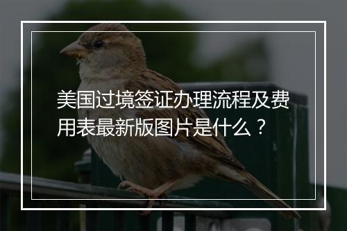 美国过境签证办理流程及费用表最新版图片是什么？