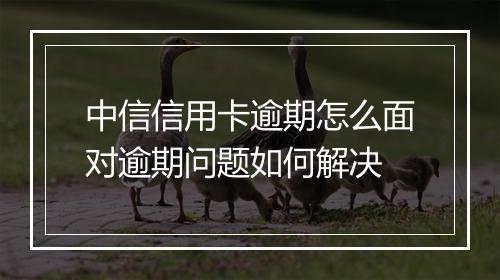 中信信用卡逾期怎么面对逾期问题如何解决