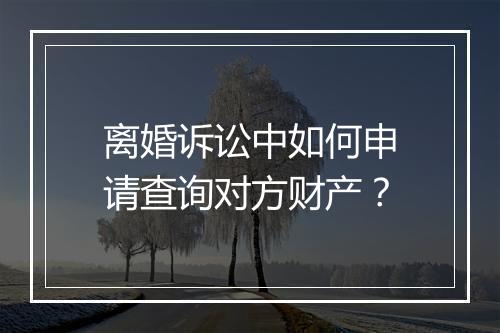 离婚诉讼中如何申请查询对方财产？