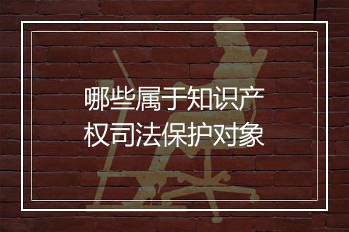 哪些属于知识产权司法保护对象