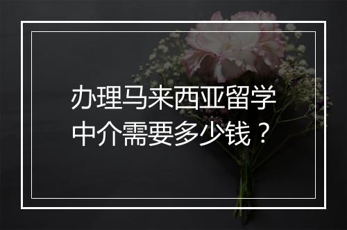 办理马来西亚留学中介需要多少钱？