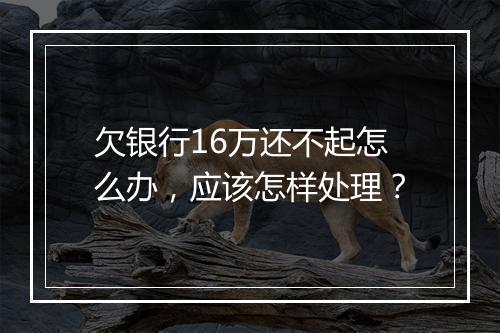欠银行16万还不起怎么办，应该怎样处理？