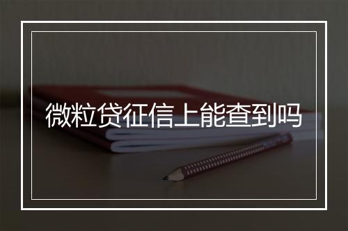 微粒贷征信上能查到吗