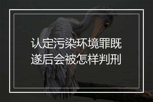 认定污染环境罪既遂后会被怎样判刑