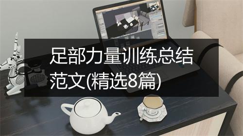 足部力量训练总结范文(精选8篇)