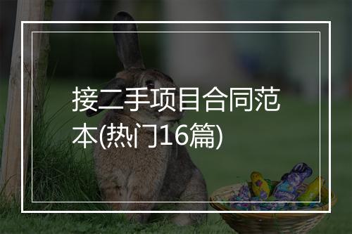 接二手项目合同范本(热门16篇)
