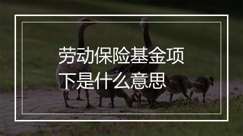 劳动保险基金项下是什么意思