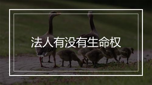 法人有没有生命权