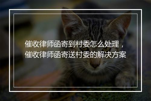 催收律师函寄到村委怎么处理，催收律师函寄送村委的解决方案