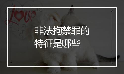 非法拘禁罪的特征是哪些