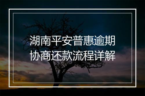 湖南平安普惠逾期协商还款流程详解