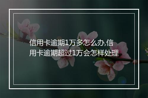 信用卡逾期1万多怎么办,信用卡逾期超过1万会怎样处理