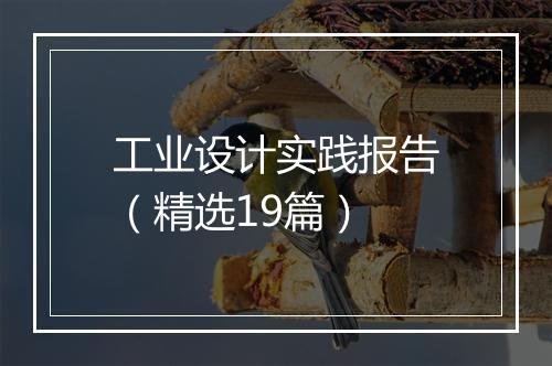 工业设计实践报告（精选19篇）