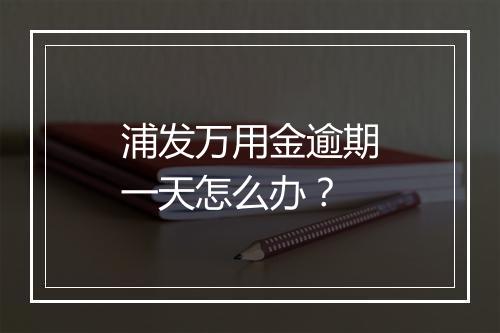 浦发万用金逾期一天怎么办？