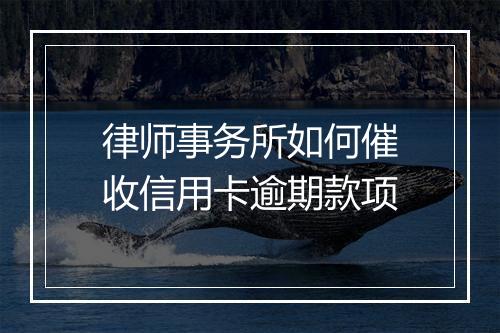 律师事务所如何催收信用卡逾期款项