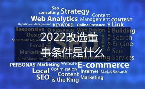 2022改选董事条件是什么