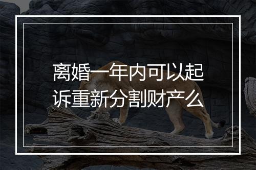 离婚一年内可以起诉重新分割财产么
