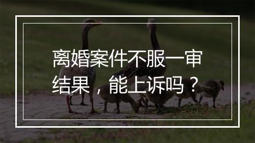 离婚案件不服一审结果，能上诉吗？