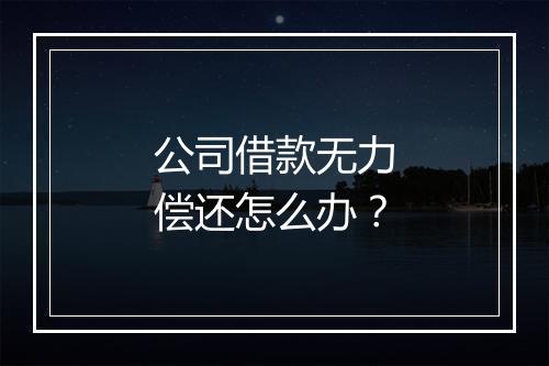 公司借款无力偿还怎么办？