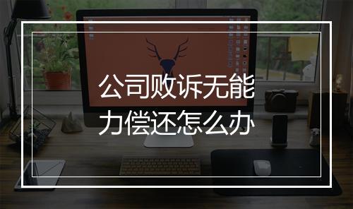 公司败诉无能力偿还怎么办