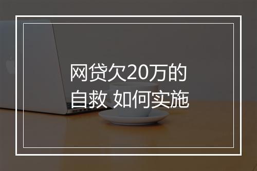 网贷欠20万的自救 如何实施