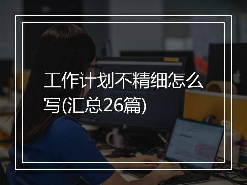 工作计划不精细怎么写(汇总26篇)