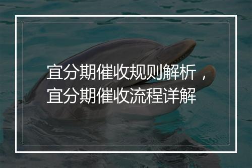 宜分期催收规则解析，宜分期催收流程详解