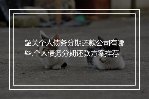 韶关个人债务分期还款公司有哪些,个人债务分期还款方案推荐